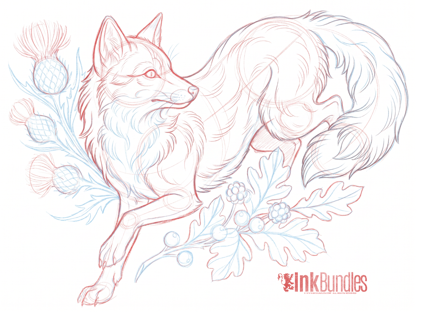 Red and blue pencil sketch of a fox among thistles and oak leaves — a page from the Inkbundles archive.