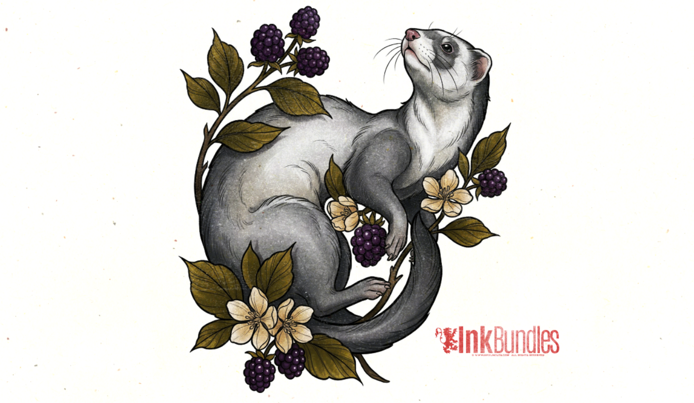 Neo-traditional ferret illustration with blackberries and blossoms — original Inkbundles tattoo flash